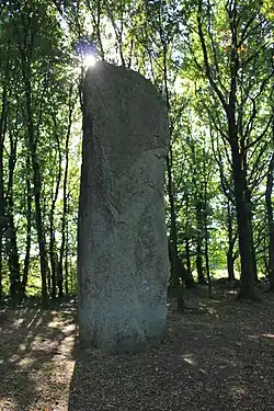 Image illustrative de l’article Menhirs de Kermarquer