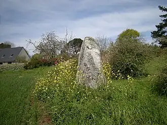 Menhir de Kervéniou.