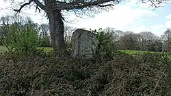 Image illustrative de l’article Menhir de Menou-Glas