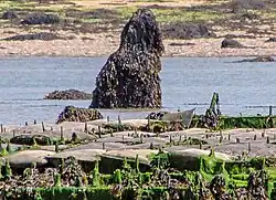 Menhir dit Men Ozac'h