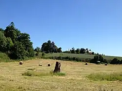 Photographie d'un champ, au milieu duquel un menhir est dressé, avec à sa gauche une route étroite