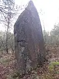 Le menhir de Ranion.