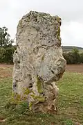 Le menhir de l'étang de Chénevry, vu du côté droit.