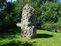 Image illustrative de l’article Menhir de la Basse-Crémonville