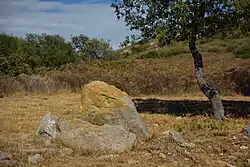 Menhir de la Pierre Plantée
