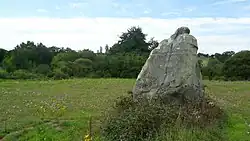 Menhir de la Pierre au sel.