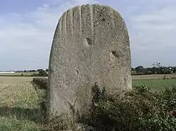 Menhir dit la pierre levée de la Bretaudière.
