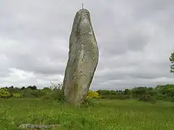 Image illustrative de l’article Menhir de Minhir