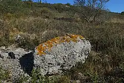 Menhir du Pioch de Roumanis