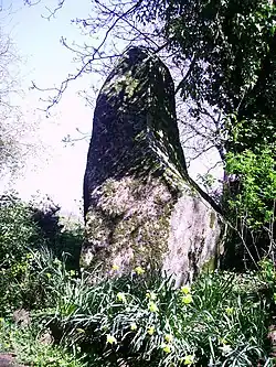 Le menhir du Perron.