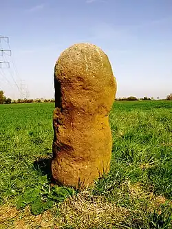 Image illustrative de l’article Menhir de Bürstadt