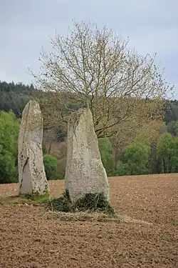 Image illustrative de l’article Menhirs de Kernars