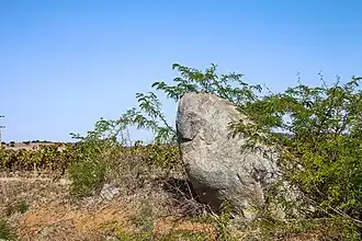 Image illustrative de l’article Menhir de Santa Margarida