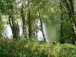 La Mousserie - été 2007.