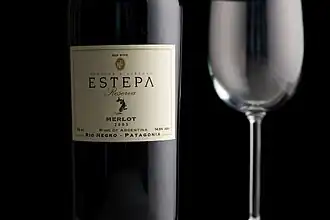 Merlot du Rio Negro, Patagonie.