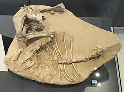 Description de cette image, également commentée ci-après