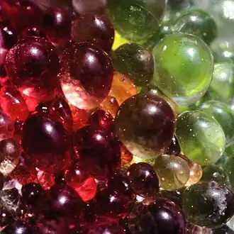 Détail des vésicules.