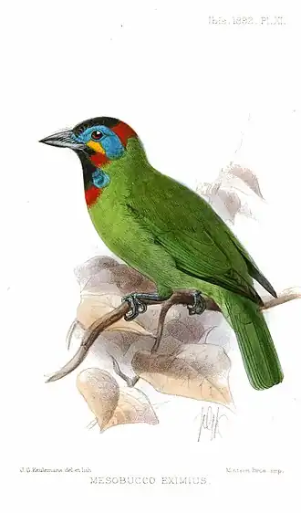 Description de cette image, également commentée ci-après