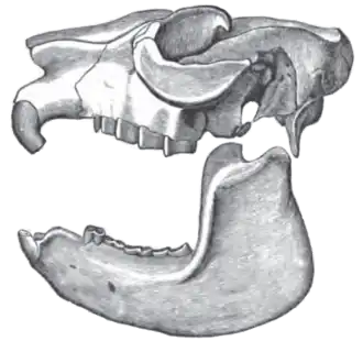 Description de cette image, également commentée ci-après