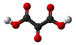 Image illustrative de l’article Acide mésoxalique