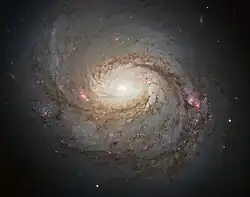 M77 (NGC 1068) imagée par le télescope spatial Hubble en 2013.