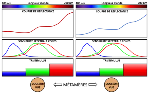 Exemple de métamérisme de deux lumières colorées. Leur spectre est différent, mais la vision humaine les perçoit de la même façon.