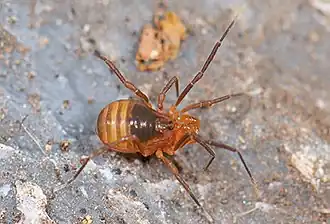 Description de cette image, également commentée ci-après