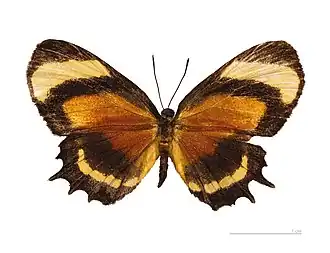 Description de cette image, également commentée ci-après