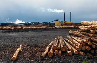 illustration de Metsä Wood