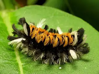 Description de cette image, également commentée ci-après