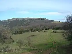 Le Milobre de Bouisse.