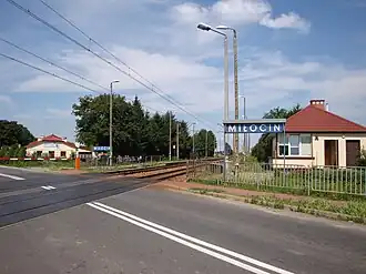 Miłocin (Wojciechów)