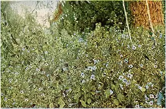 Description de cette image, également commentée ci-après