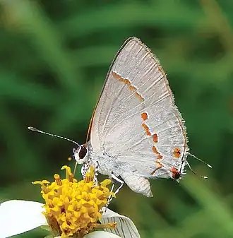 Description de cette image, également commentée ci-après