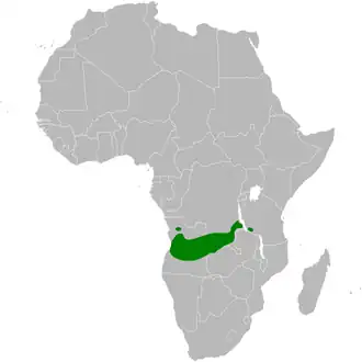 Description de cette image, également commentée ci-après