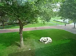 Ortus de Miriam Knibbeler