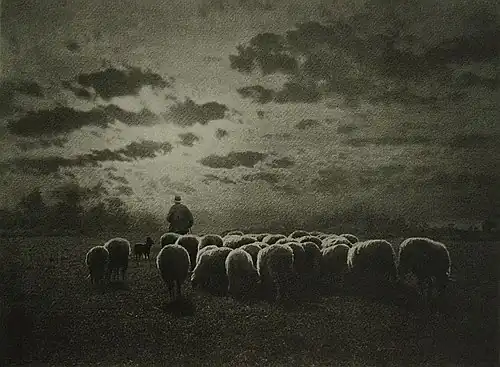 Misonne's Au Coucher du Soleil, in : Camera Notes&nbsp;(en), juillet 1901.