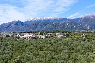 Sparte (ville moderne)