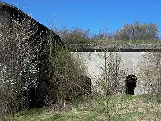 Strubiny (Nowy Dwór Mazowiecki)