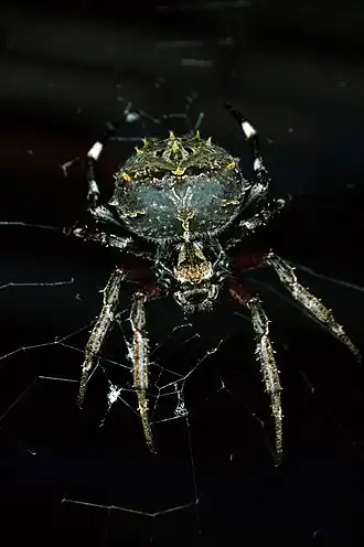 Description de cette image, également commentée ci-après