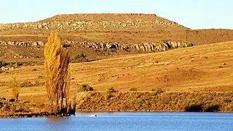 Image illustrative de l’article Formation de Molteno