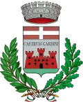 Blason de Mongardino