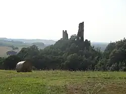 Les ruines du château.
