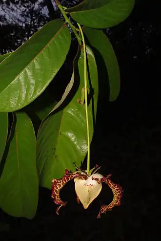 Description de cette image, également commentée ci-après