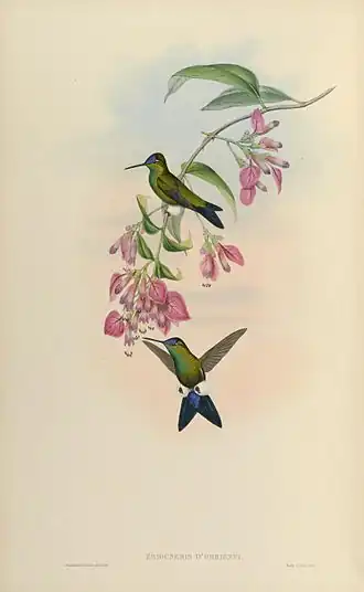 Description de cette image, également commentée ci-après