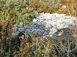 Cabane engloutie par la végétation (2).