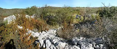 Haut-Mons : enclos carré (9 × 9&nbsp;m), avec cabane et apié (6 loges).