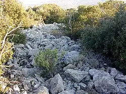 Habitat fortifié de Roubiès.