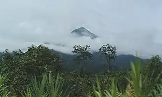 Mont Cameroun vue de Limbé