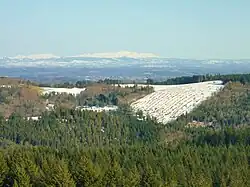 Vue sur le puy de Sancy depuis le mont Bessou.